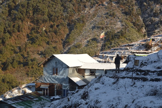 zuluk Dilmaya homestay