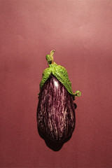 Eggplant