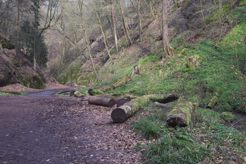 Drachenschlucht Eisenach