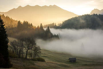 Morning colors over the forest