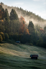 Beautiful autumn landscape