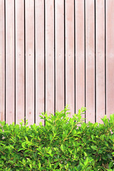 grass on wood background