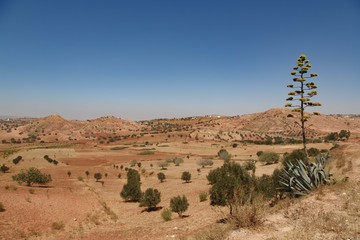 Somewhere between Casablanca and Essaouira