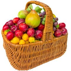 Basket with cherry plum and plums.