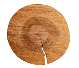 Cutted circular slice of the brown wooden log on a white isolated background
