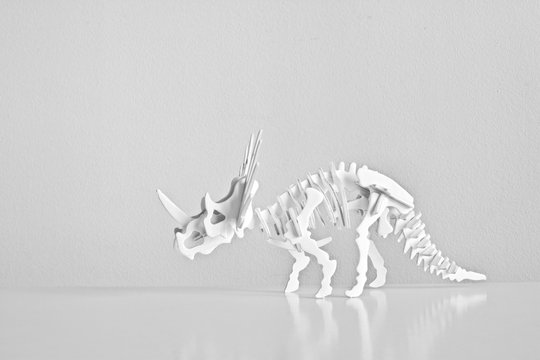 Beautiful Dinosaur Skeleton, Black And White