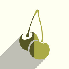 Fruit flat icons with of shadow. Vector illustration