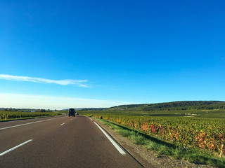Drive way to winery in Clear sky, Dijon, France