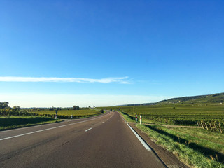 Drive way to winery in Clear sky, Dijon, France