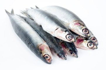 Anchovies on white background.