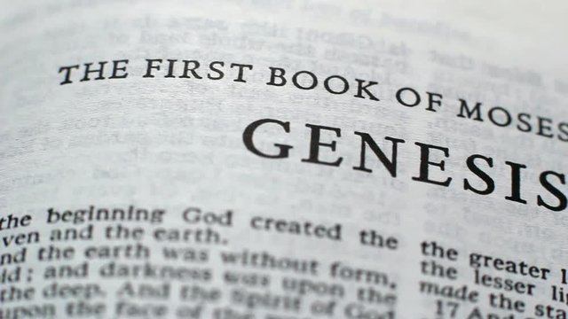 The First Book Of Genesis