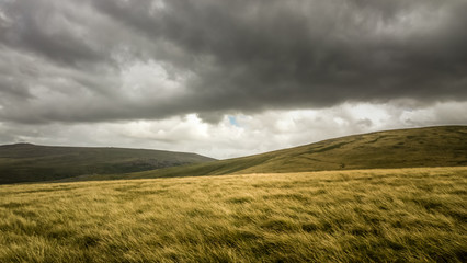 Fototapeta premium Scenic View Of Field Against Cloudy Sky