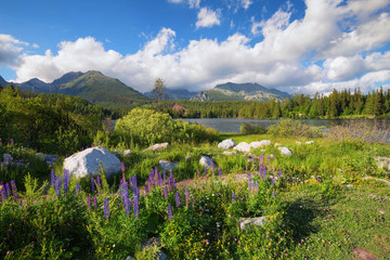 High mountains bouncing in the waters of the lake
