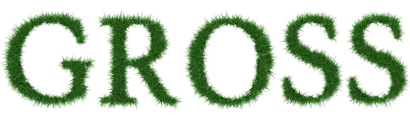 Gross - 3D rendering fresh Grass letters isolated on whhite background.