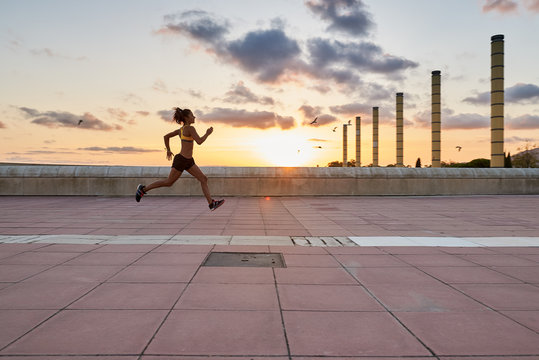 Active sportswoman runs against birds flying at sunset