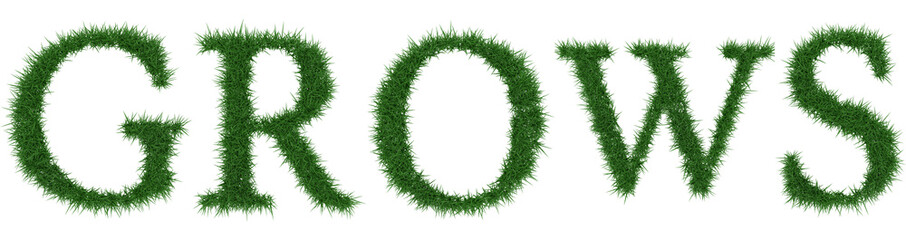 Grows - 3D rendering fresh Grass letters isolated on whhite background.