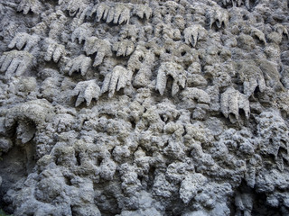 Wallenstein Palace wall texture