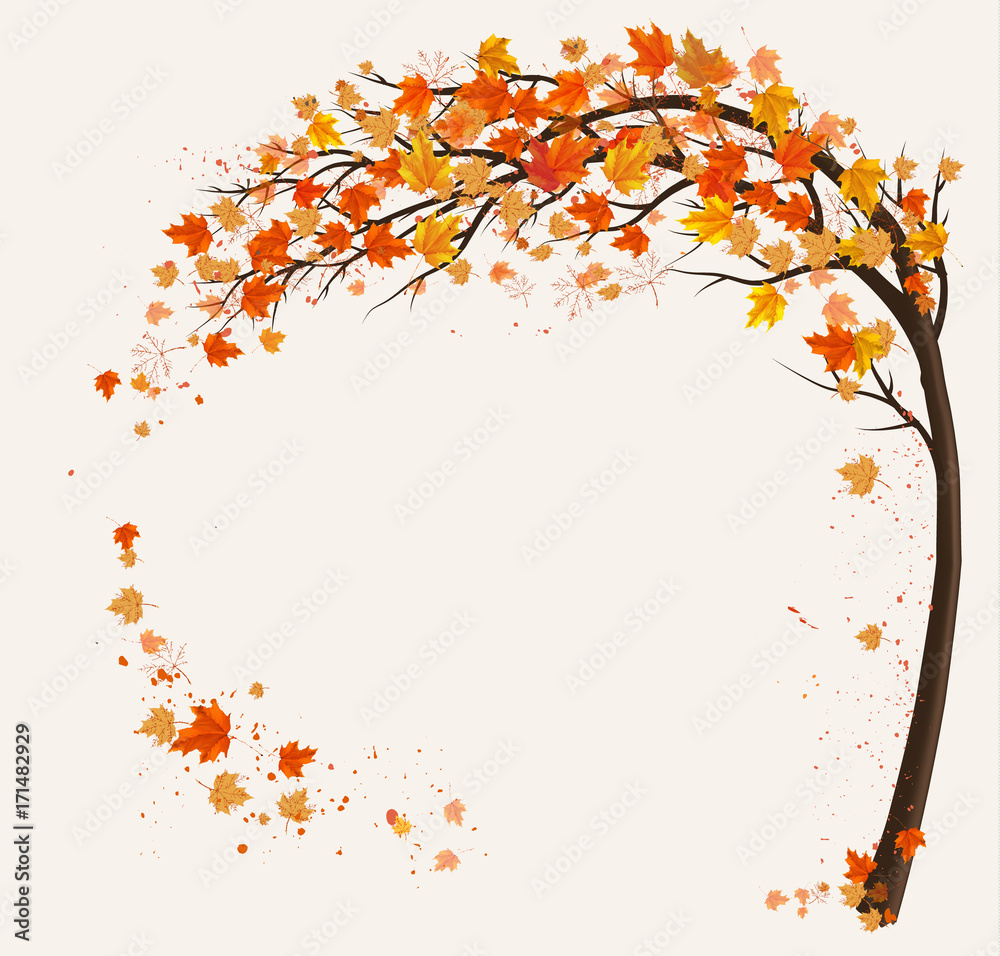 Poster Autumn background with a tree and a colorful leaves. Vector.