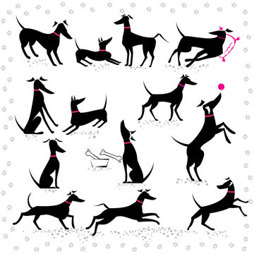 Italian greyhounds set of silhouettes