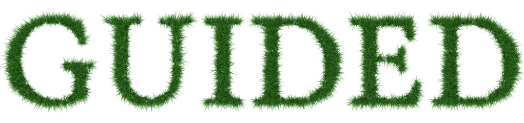 Guided - 3D rendering fresh Grass letters isolated on whhite background.