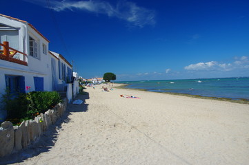 Fototapeta premium noirmoutier en ile