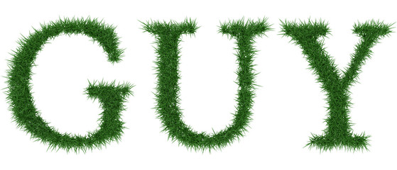 Guy - 3D rendering fresh Grass letters isolated on whhite background.