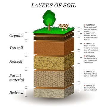 Layers of soil, education diagram. Mineral particles, sand, humus and stones, natural fertilizer. Template for banners, page, posters, vector illustration.