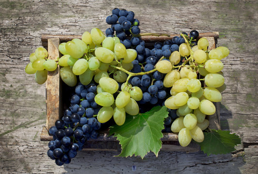 Big clusters of ripe green and blue grapes in a wooden box