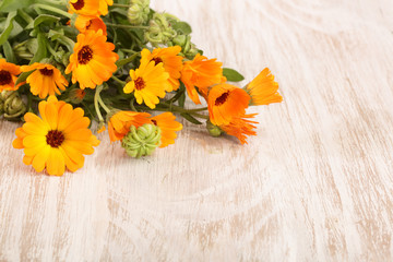 Calendula officinalis. Marigold flower with leaf on white wooden background with copy space for your text
