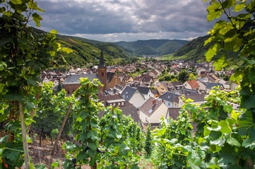 Fototapeta na wymiar Weinort Dernau im Ahrtal mit Weinreben