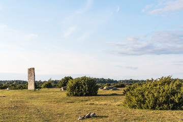 Ancient monument among junipers in a great plain grassland