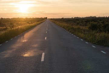 Straight country road by twilight