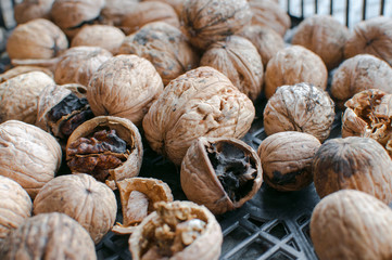 Nuts on a metal countertop