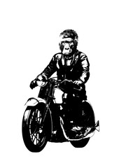 Fototapeta na wymiar Motorbike rider with gorilla head illustration