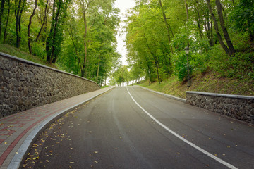 abrupt rise of the road in the forest