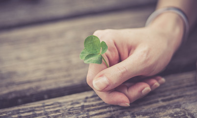 Junge Frau hält vierblättriges Kleeblatt in der Hand