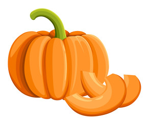 Pumpkin icon, Harvest Thanksgiving vector illustration Isolated on White. Flat Design Style Fresh cartoon different vegetable Web site page and mobile app design
