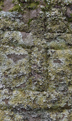 Celtic Cross St Dennis Church Cornwall