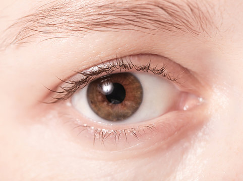 Close up view of a brown woman eye looking at camera