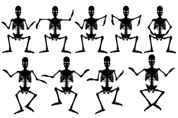 Human Skeleton / Silhouette of skeleton on white background.