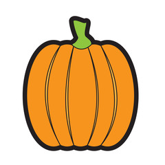Isolated non carved pumpkin on a white background, Vector illustration