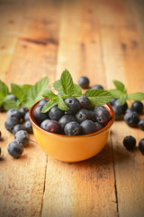 pile of blueberries in the terracotta bowl