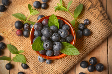 pile of blueberries in the terracotta bowl
