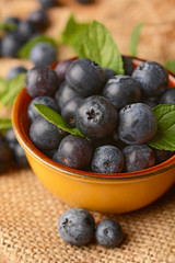 pile of blueberries in the terracotta bowl