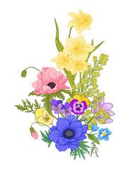 Composition with summer flowers: poppy, daffodil, anemone, viole