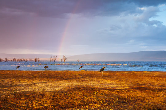 Double rainbow on cloudy sky over lake in Africa
