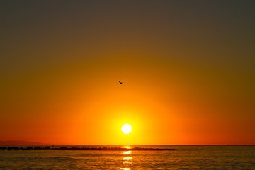 Barceloneta Beach in Barcelona with colorful sky at sunrise