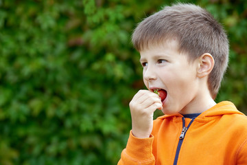 Fototapeta premium Cute Caucasian boy eating strawberry in nature.