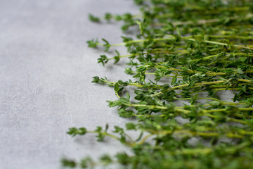 Thyme. Bunch of fresh herb thyme on kitchen table from right side
