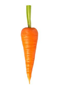 Carrot isolated. Fresh carrot with green stem